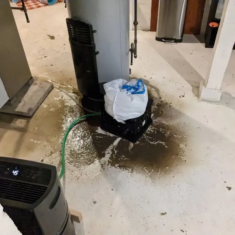Sewage Backup Cleanup Service in Hermann, MO